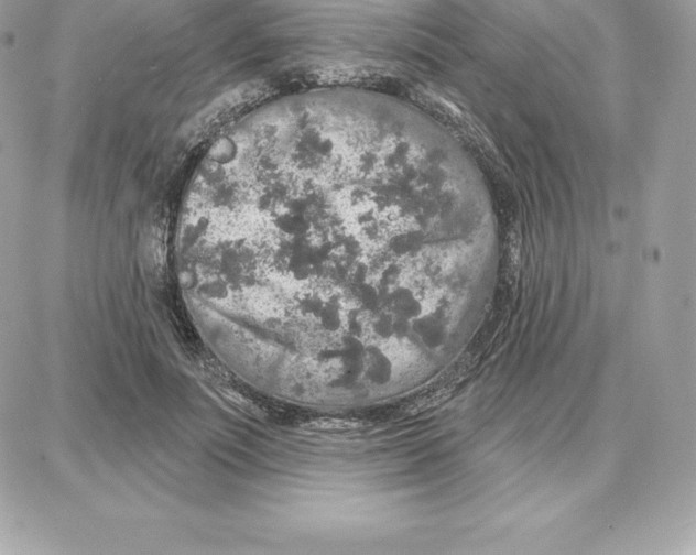 X0000087680691200706011654