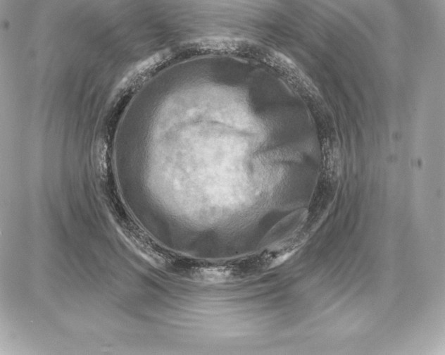 X0000087680692200706011654