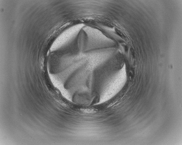 X0000087680693200706011654