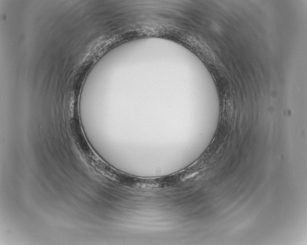 X0000087680694200706011654