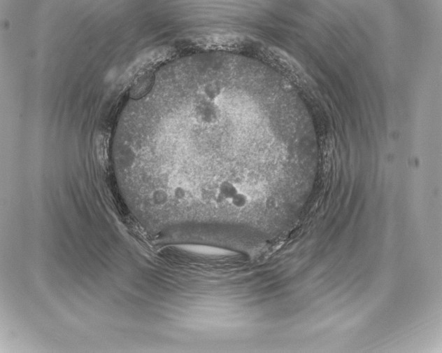 X0000087680695200706011654