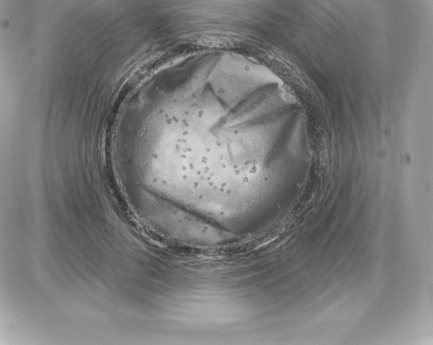 X0000087680696200706011654