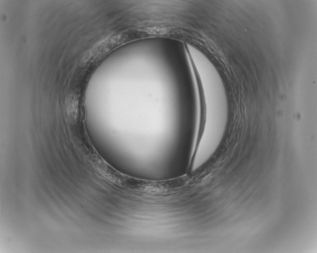 X0000087680697200706011654