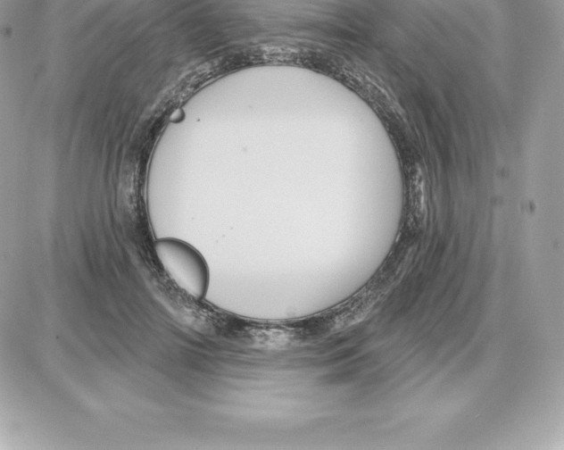 X0000087680698200706011654