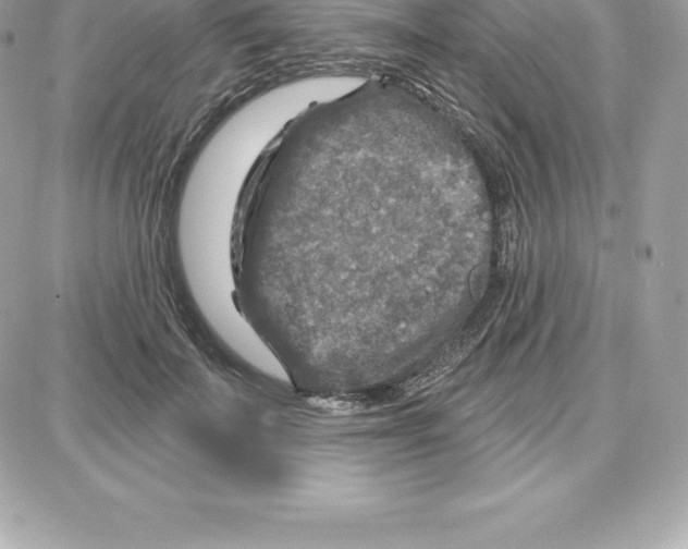 X0000087680699200706011654