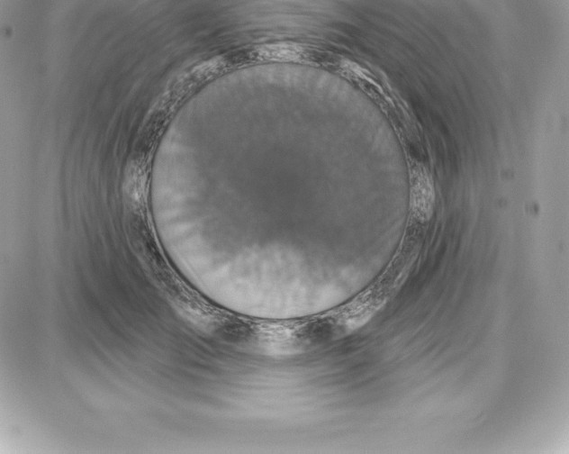 X0000087680701200706011654