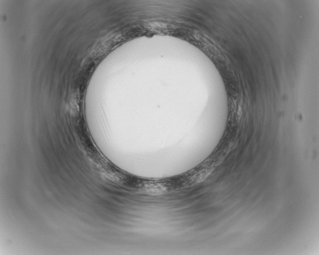 X0000087680702200706011654