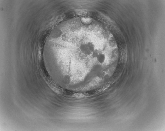 X0000087680703200706011654