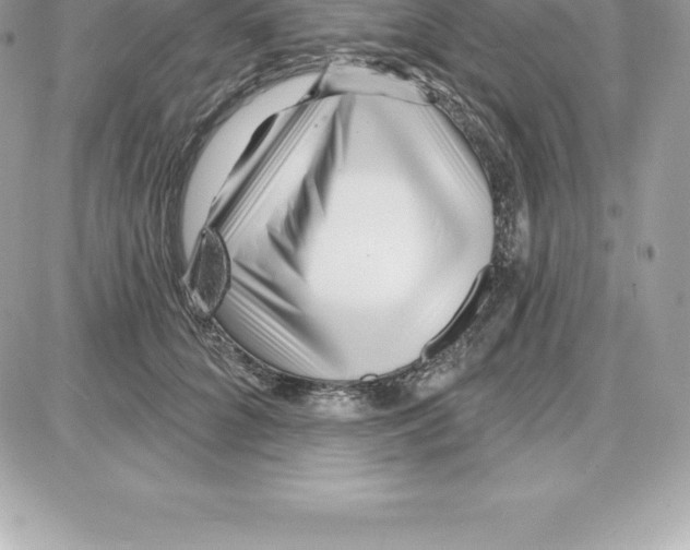 X0000087680704200706011654