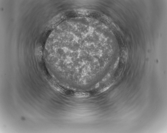 X0000087680707200706011654