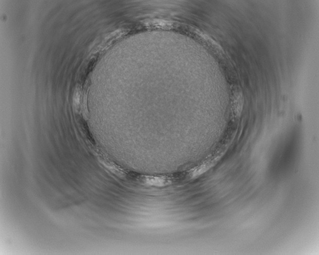 X0000087680709200706011654