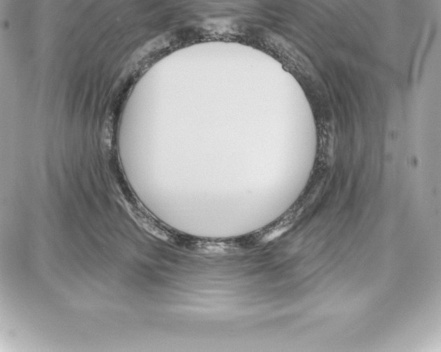 X0000087680710200706011654