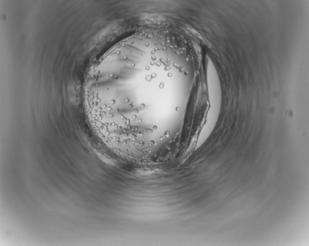 X0000087680712200706011654