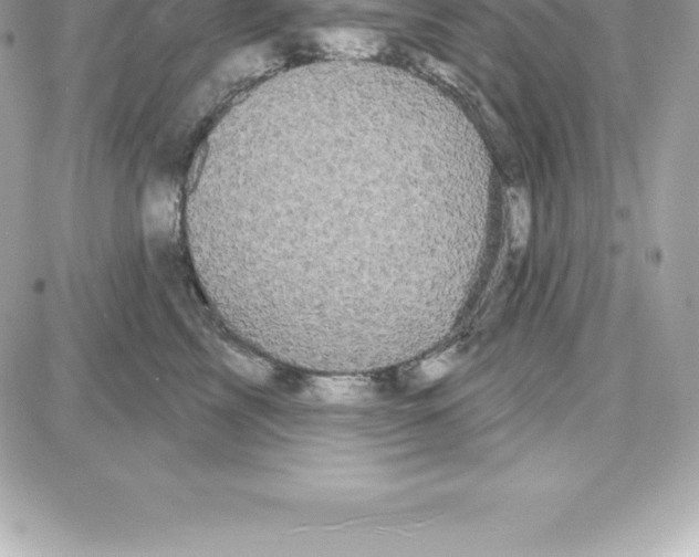 X0000087680713200706011654