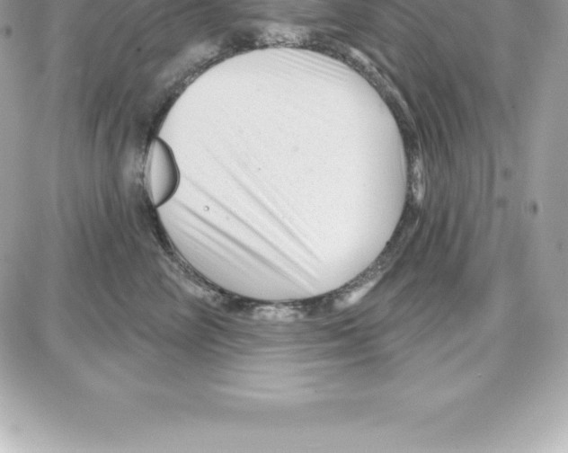 X0000087680714200706011654