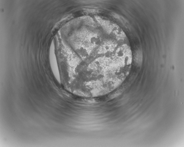 X0000087680715200706011654