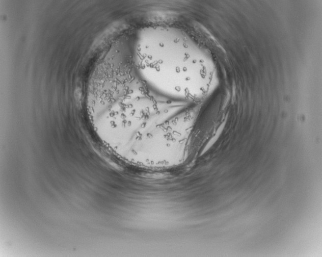 X0000087680716200706011654