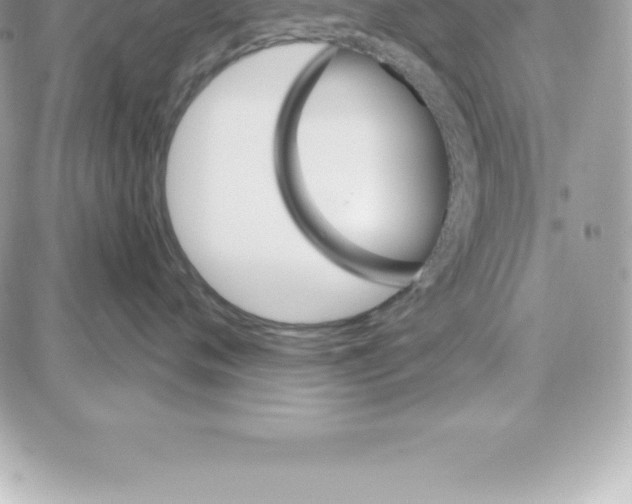 X0000087680720200706011654