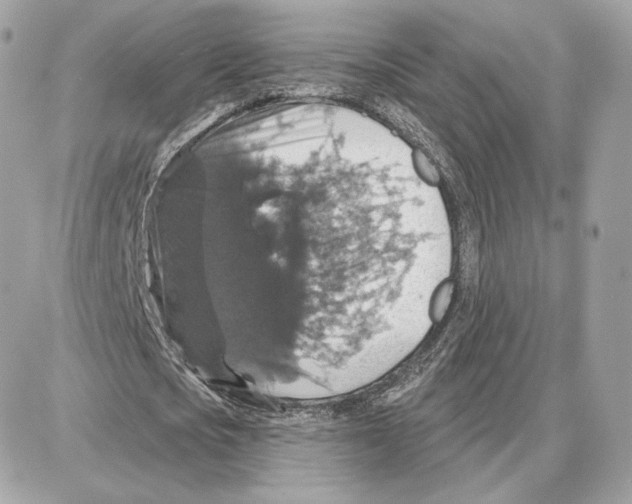 X0000087680721200706011653