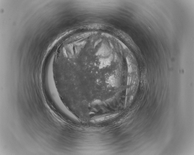 X0000087680722200706011653