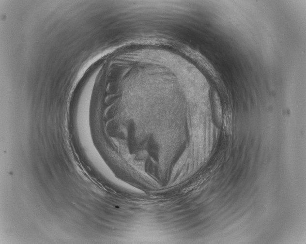 X0000087680724200706011653