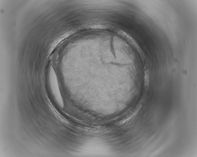 X0000087680725200706011653