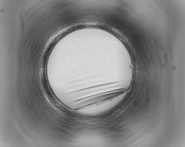 X0000087680728200706011653