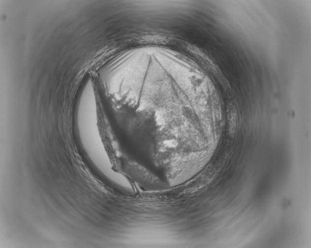 X0000087680729200706011653