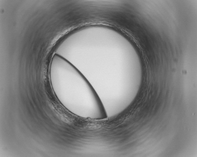 X0000087680732200706011653