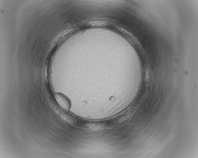 X0000087680733200706011653