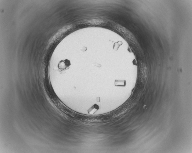 X0000087680734200706011653