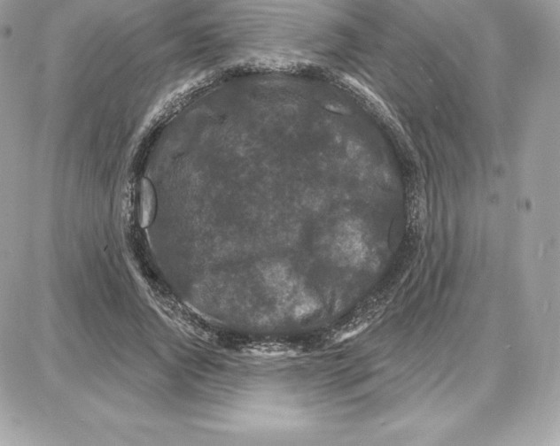 X0000087680736200706011653