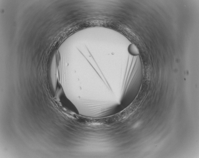 X0000087680737200706011653