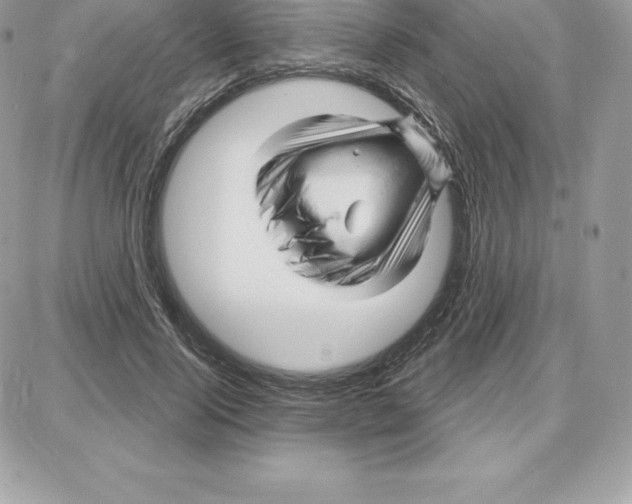 X0000087680740200706011653