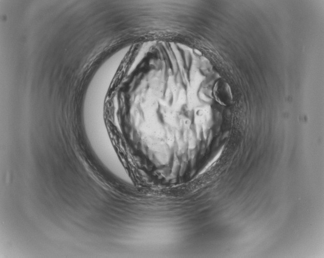 X0000087680742200706011654