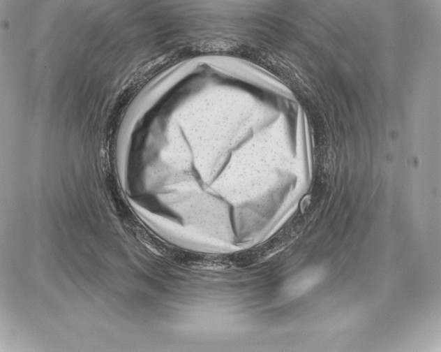 X0000087680743200706011654