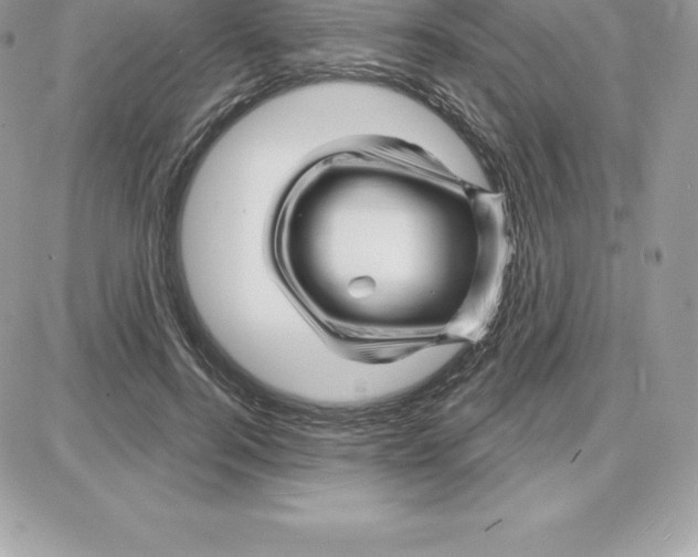 X0000087680744200706011654