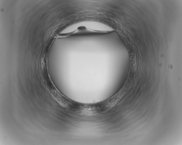 X0000087680746200706011654