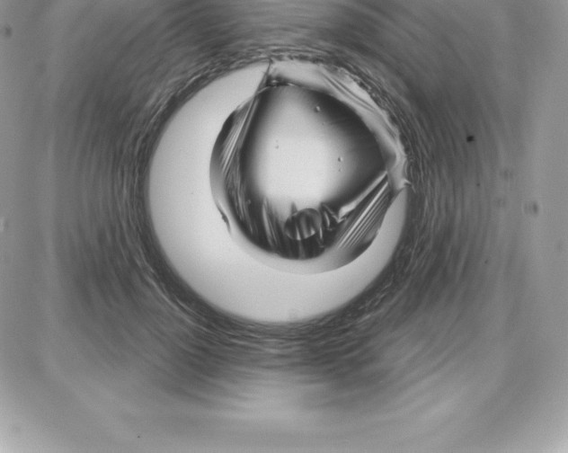 X0000087680748200706011654