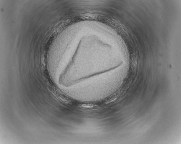 X0000087680749200706011654