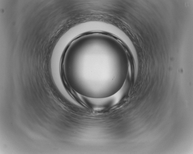 X0000087680750200706011654