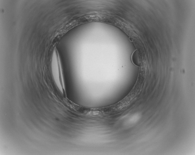 X0000087680751200706011654