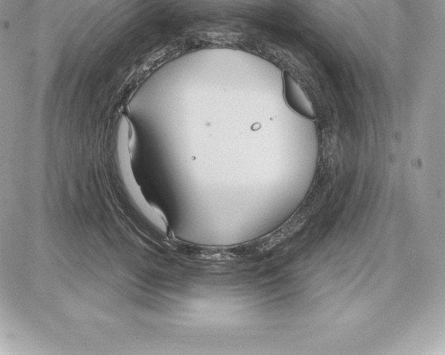 X0000087680752200706011654