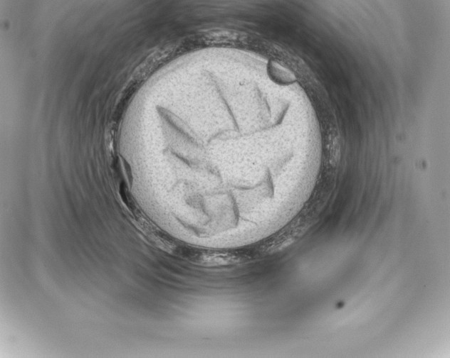 X0000087680753200706011654