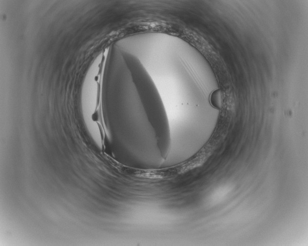 X0000087680754200706011654