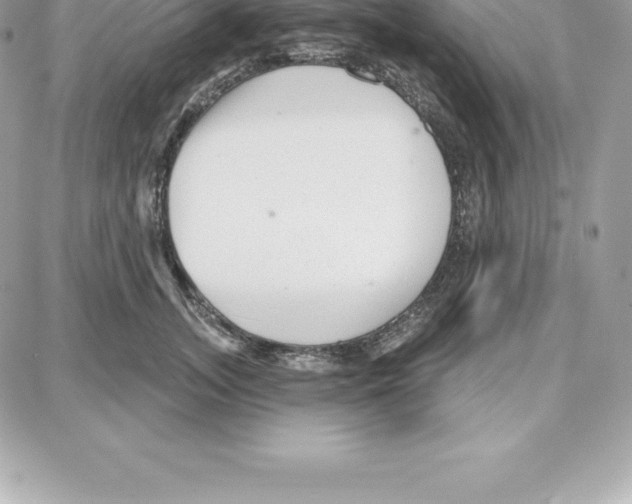 X0000087680755200706011654