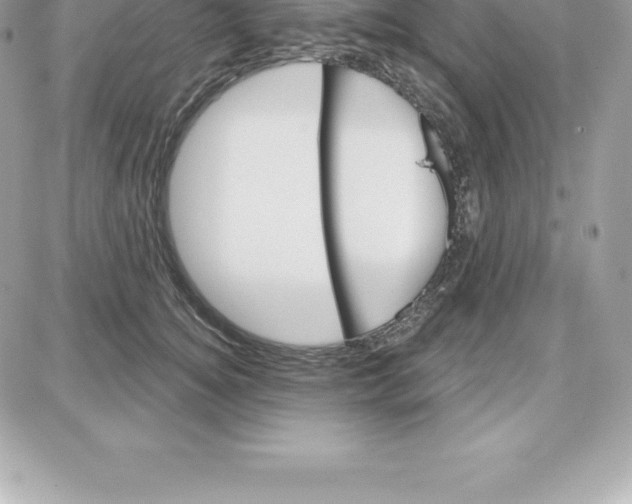 X0000087680756200706011654