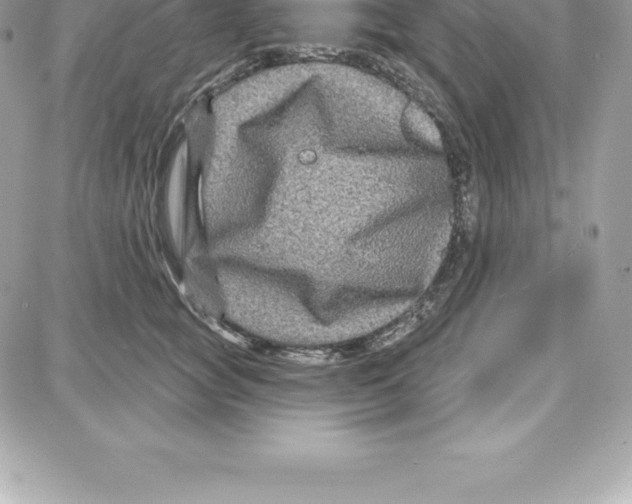 X0000087680757200706011654