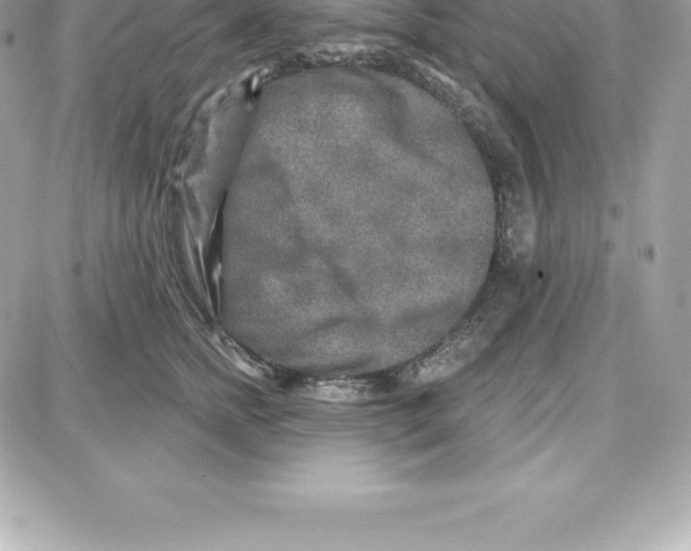 X0000087680758200706011654