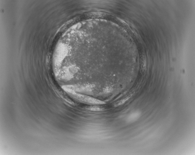 X0000087680759200706011654